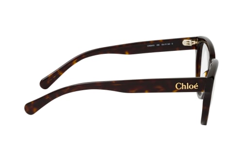 Chloé CH0243O 006