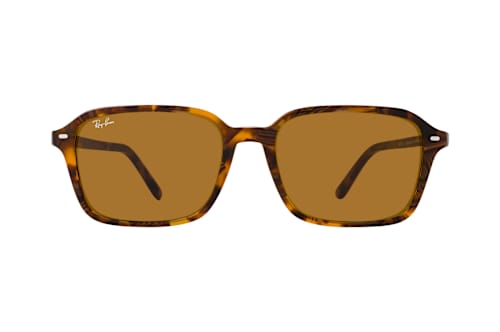 Ray-Ban RB 2231 141833