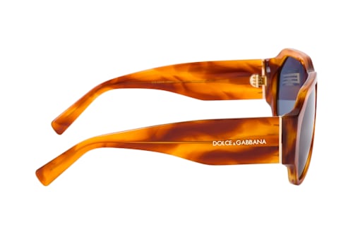 Dolce&Gabbana DG 4504 32212V