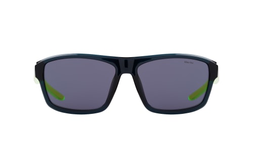 Nike NIKE LIVEFREE TEMPO EV24044 414