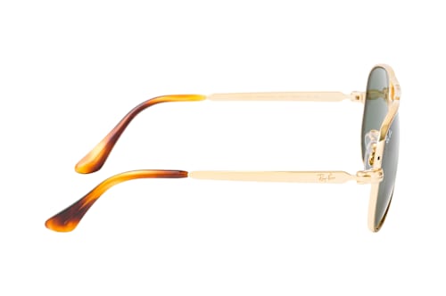 Ray-Ban RB 3925 001/31