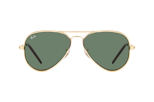 Ray-Ban RB 3925 001/31