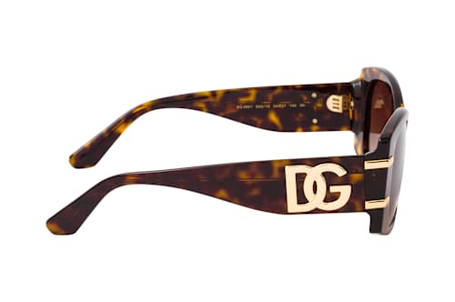 Dolce&Gabbana DG 4501 502/13