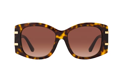 Dolce&Gabbana DG 4501 502/13