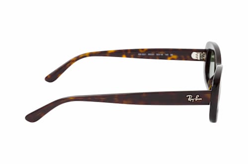 Ray-Ban RB 2221 902/31