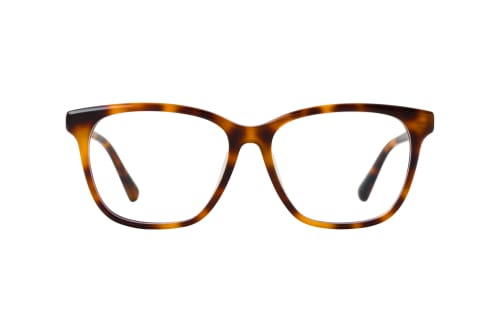 MESSYWEEKEND CHARLIE Optics Tortoise