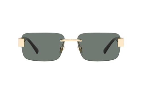 Versace VE 2298 100287