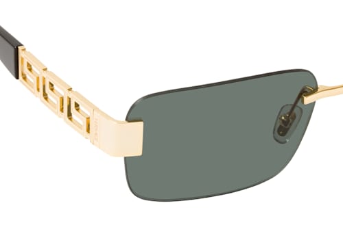 Versace VE 2298 100287