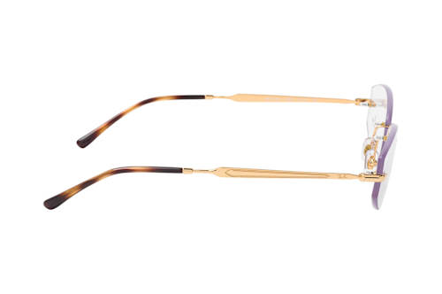 Ray-Ban RX 3792V 2500