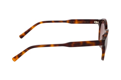 CO Optical Vanderwaal 2632 R22