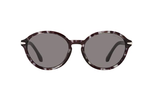 Giorgio Armani AR 8237 6236B1