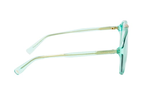 Longchamp LO 800S 419