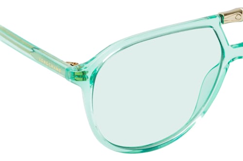 Longchamp LO 800S 419