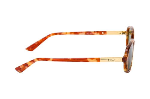Chloé CH 0363S 003