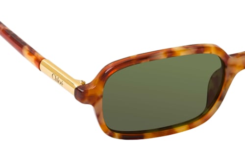 Chloé CH 0363S 003