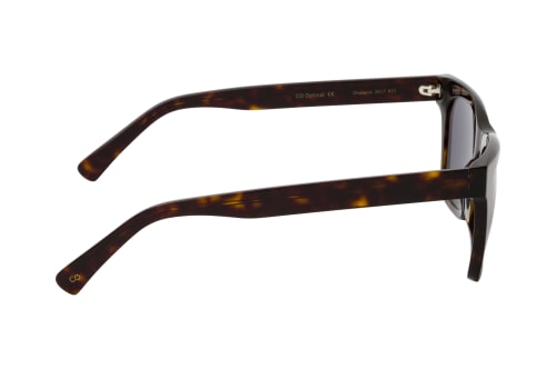 CO Optical Chadwick 2617 R21