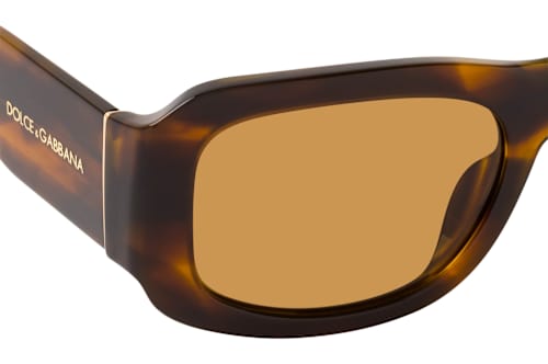 Dolce&Gabbana DG 4503 306373