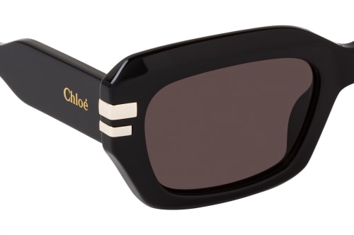 Chloé CH0256S 001