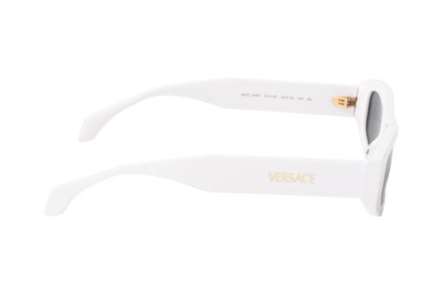 Versace VE 4487 314/87