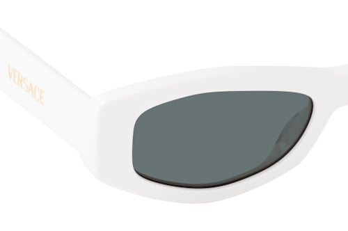 Versace VE 4487 314/87