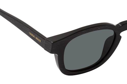 Giorgio Armani AR 8254U 500987
