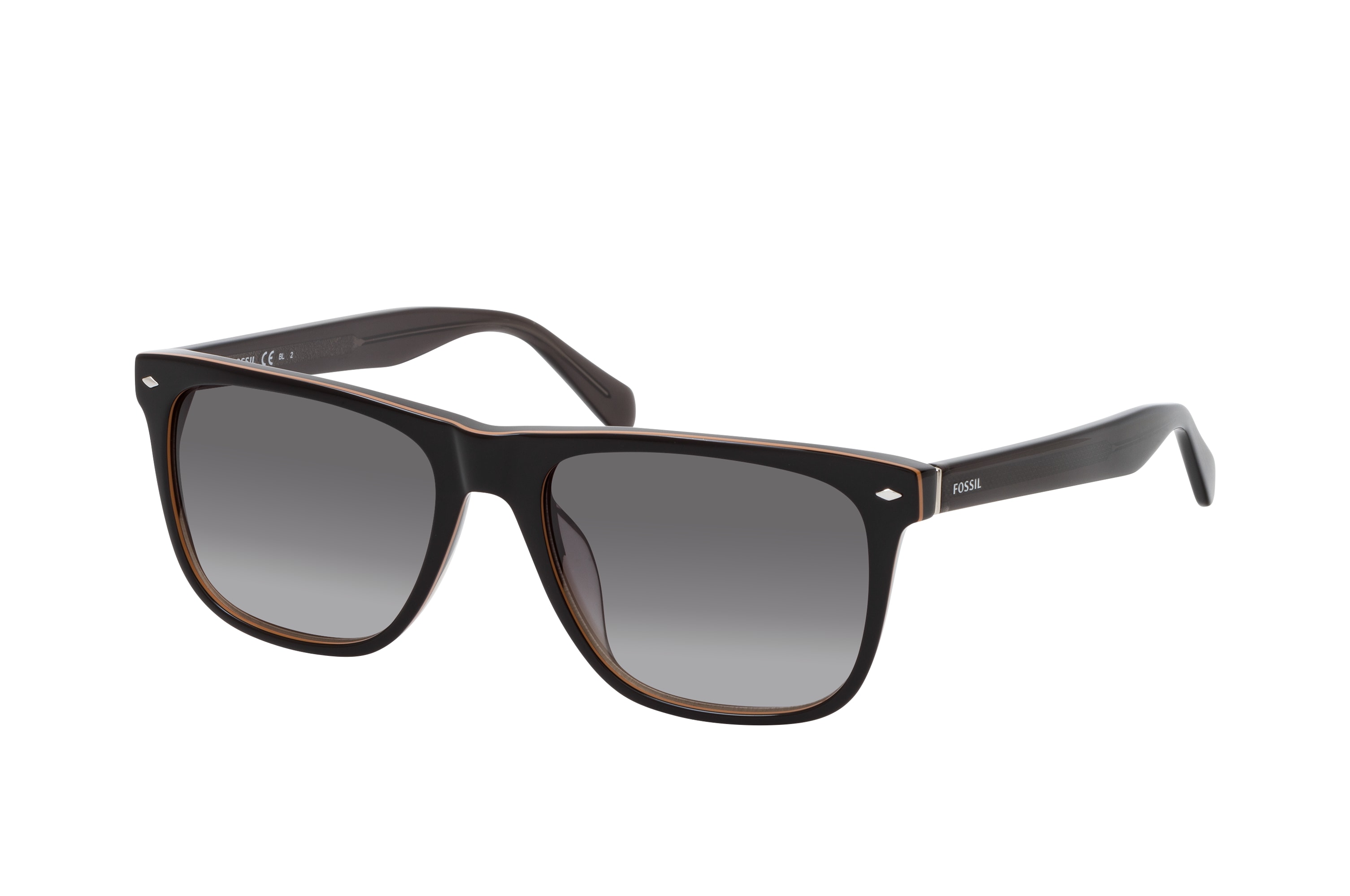 Lunette fossil new arrivals