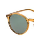 Brown / Transparent