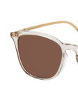 Brown / Transparent