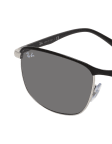 Schwarz / Silber