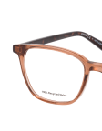 Brown / Transparent