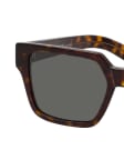 Brown / Havana