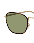 Havana / Goldfarben