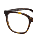 Havana / Transparent