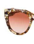 Havana / Beige / Transparent