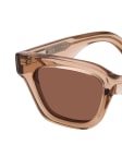 Brown / Transparent