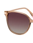 Brown / Transparent