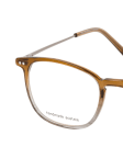Brown / Transparent