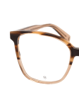 Brown / Transparent