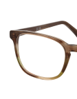 Brown / Transparent