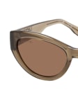 Braun / Transparent