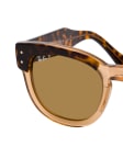 Braun / Havana / Transparent