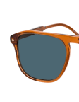 Brown / Transparent