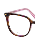 Braun / Lila