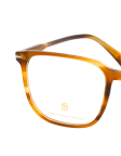 Braun / Transparent