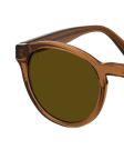 Brown / Transparent