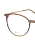 Braun / Transparent