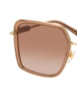 Braun / Transparent / Goldfarben