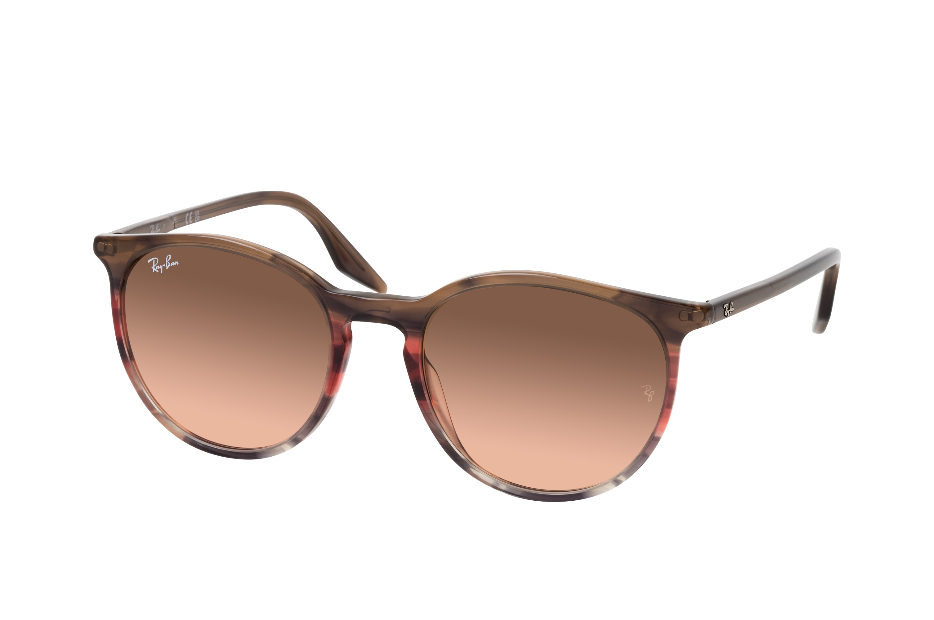 Ray-Ban RB 2204 13953B