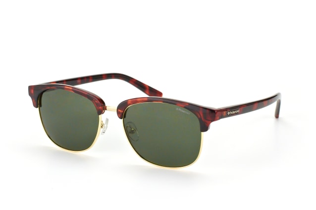 Polaroid PLD 1012/S PR6H8, BROWLINE Sunglasses, MALE, polarised