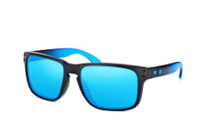 Oakley Holbrook OO 9102 D2 large, RECTANGLE Sunglasses, MALE, polarised